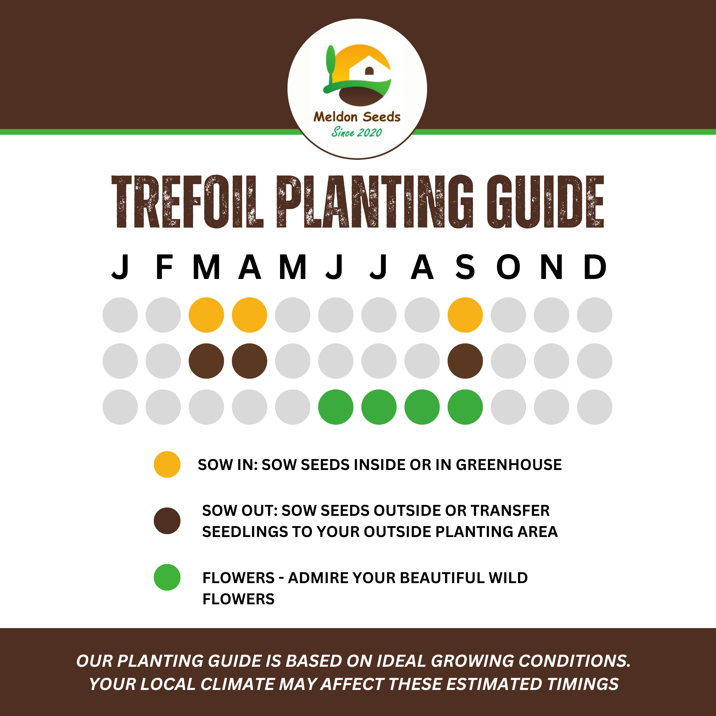 Birdsfoot Trefoil Seeds - 300 Native UK Wild Flower Seeds for Attracting Birds, Bees, Wildlife, Pollinators, Suitable for Planting and Growing Outdoors in Meadows, Fields and Gardens by Meldon Seeds