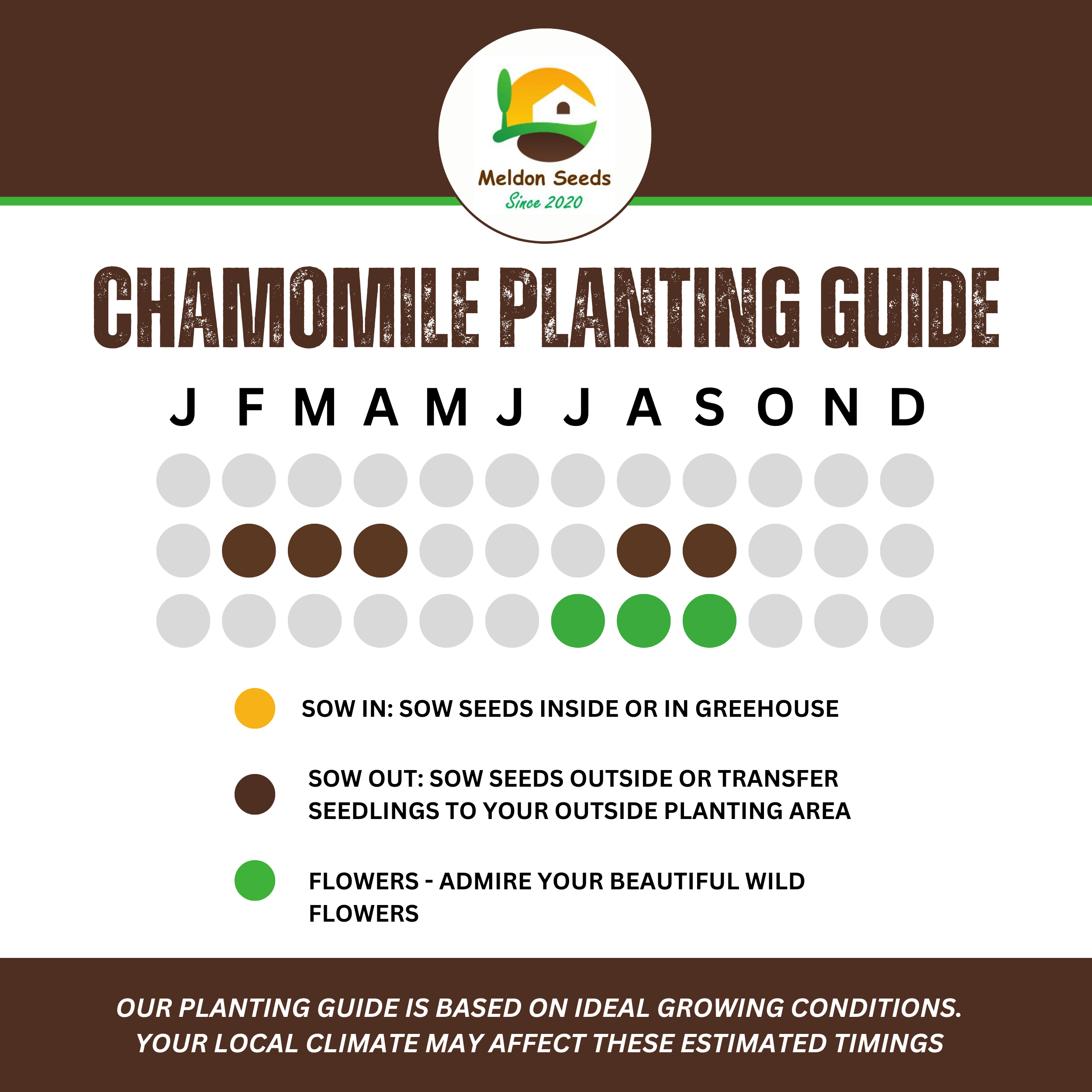 Wild Chamomile Seeds - 1000 Native UK Wild Flower Seeds for Attracting Birds, Bees, Wildlife, Pollinators, Suitable for Planting and Growing Outdoors in Meadows, Fields, Gardens and Borders - Packed in The UK by Meldon Seeds