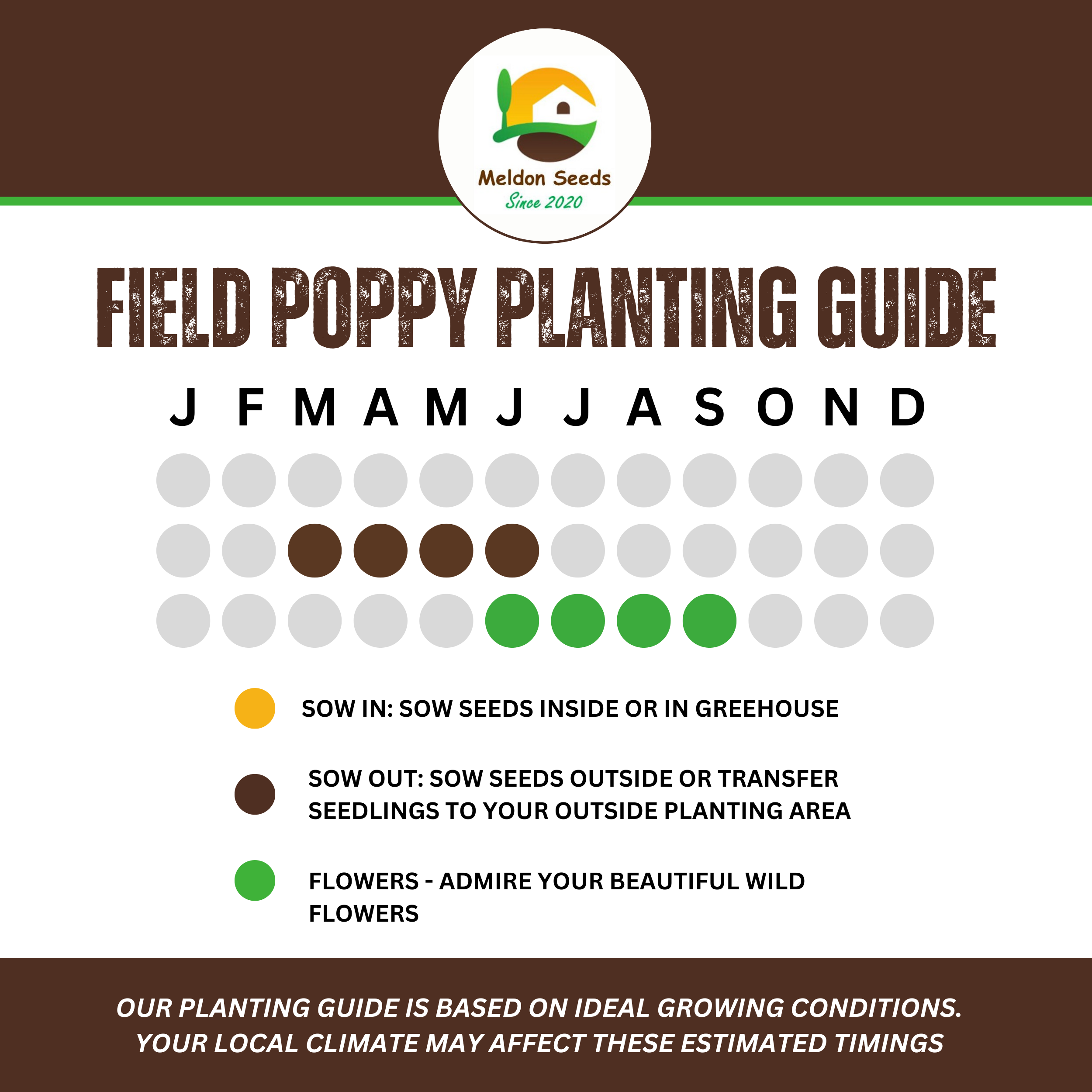 Red Field Poppy Seeds - 2000 Native UK Wild Flower Seeds for Attracting Bees, Pollinators, Also known as Flanders Poppy, Suitable for Planting and Growing Outdoors in Meadows, Fields, Gardens and Borders