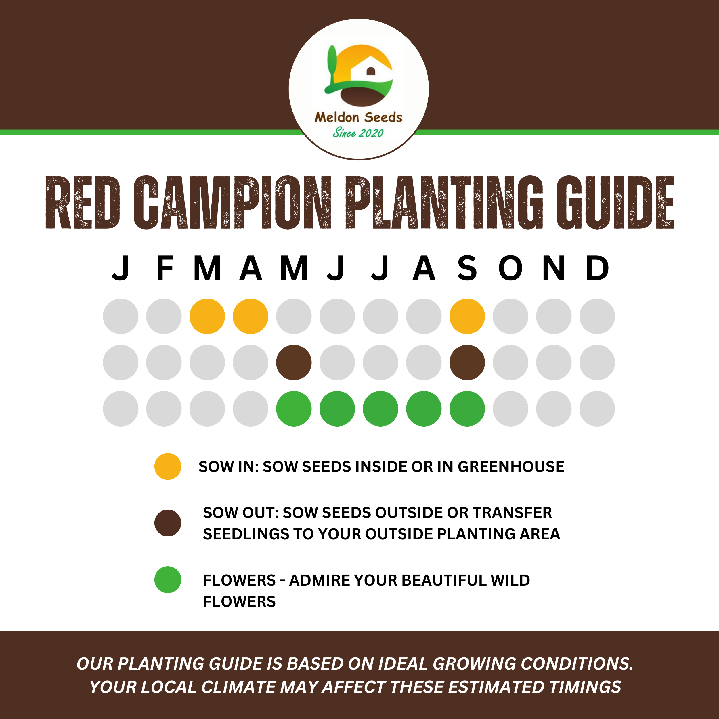 Red Campion Seeds - 200 Native UK Wild Flower Seeds for Attracting Birds, Bees, Wildlife, Pollinators, Suitable for Planting and Growing Outdoors in Meadows, Fields, and Gardens by Meldon Seeds