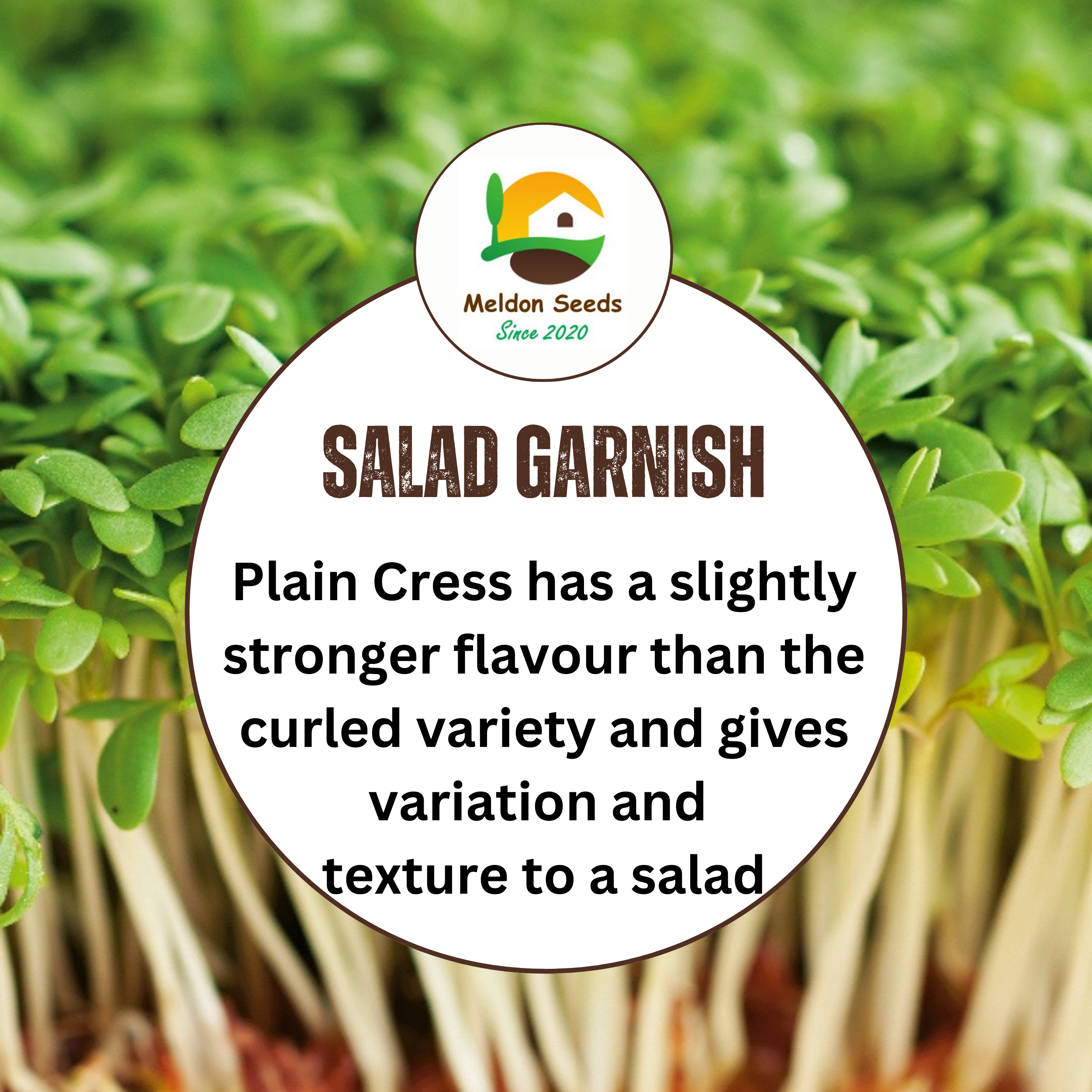 Cress Plain 2000 Seeds