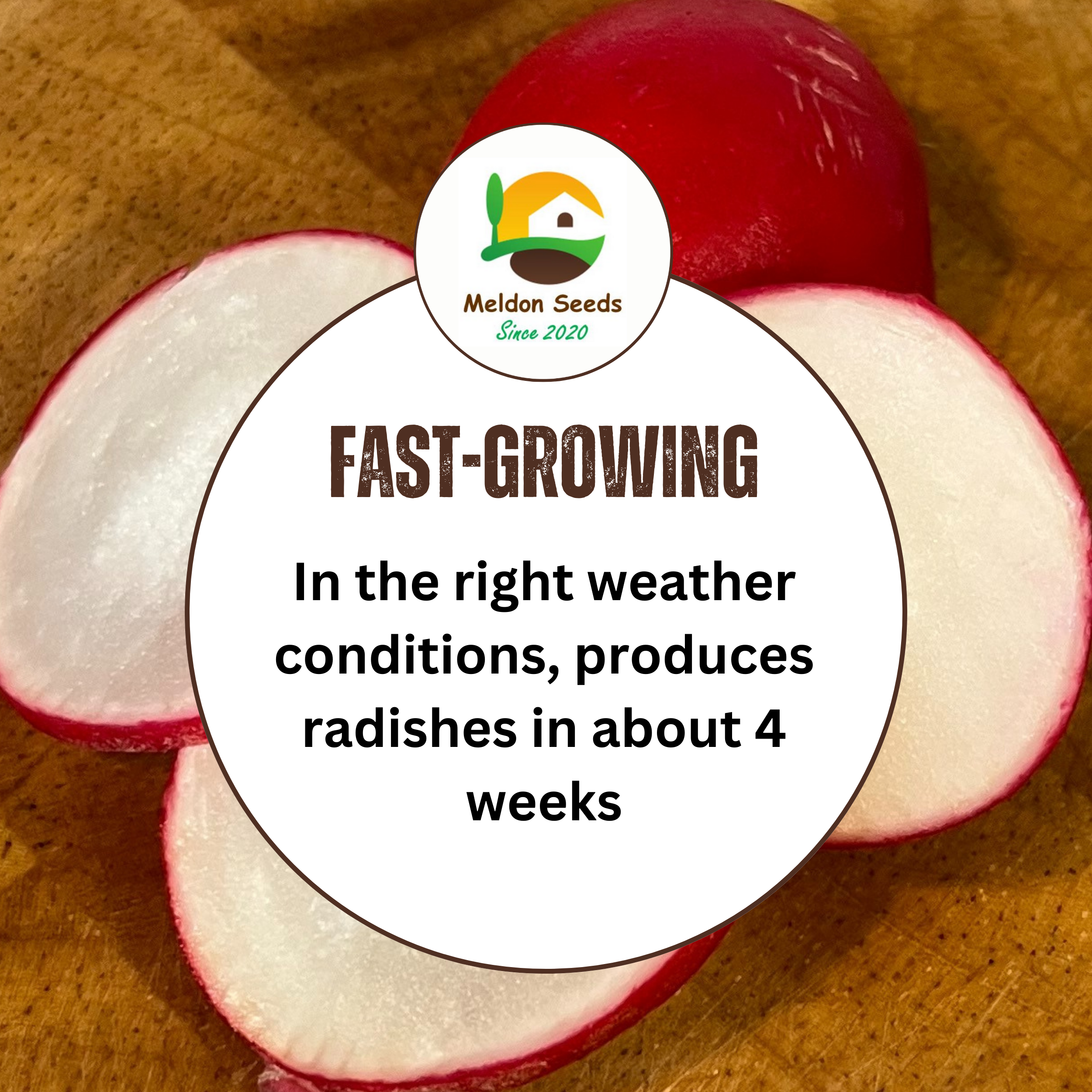 Radish Rainbow Mix 500 Seeds