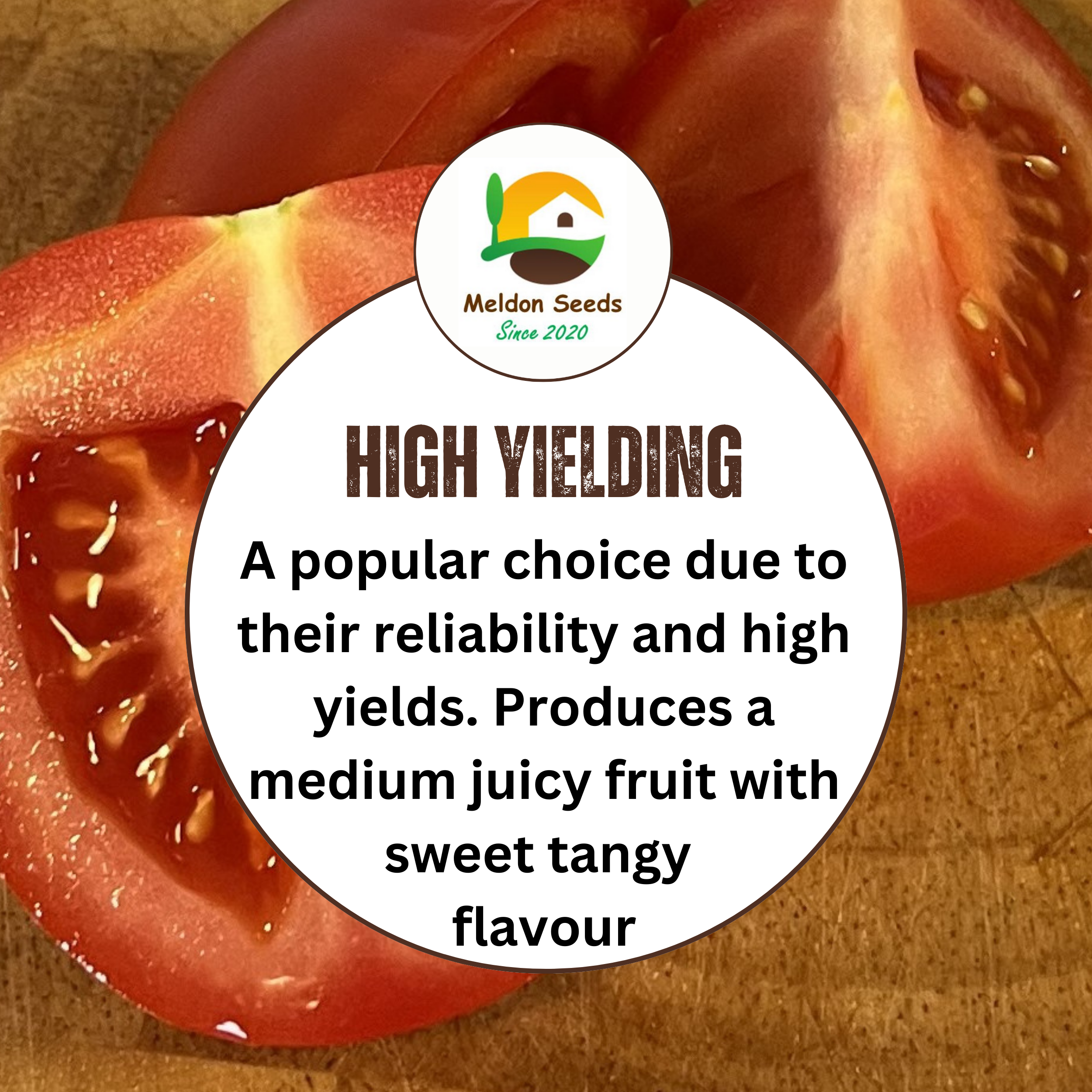 Tomato Moneymaker 18 Seeds by Meldon Seeds