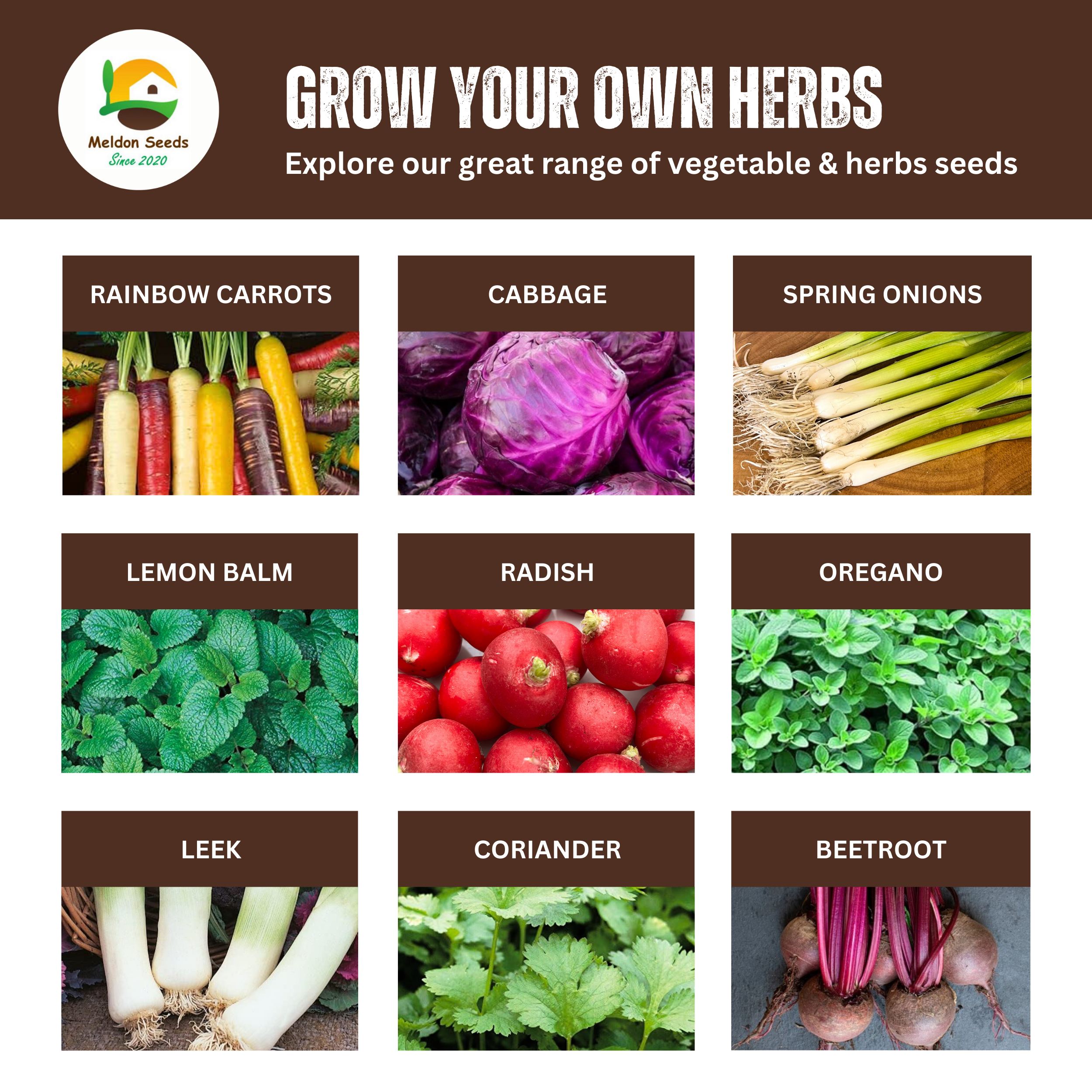 Tarragon Russian 300 Seeds