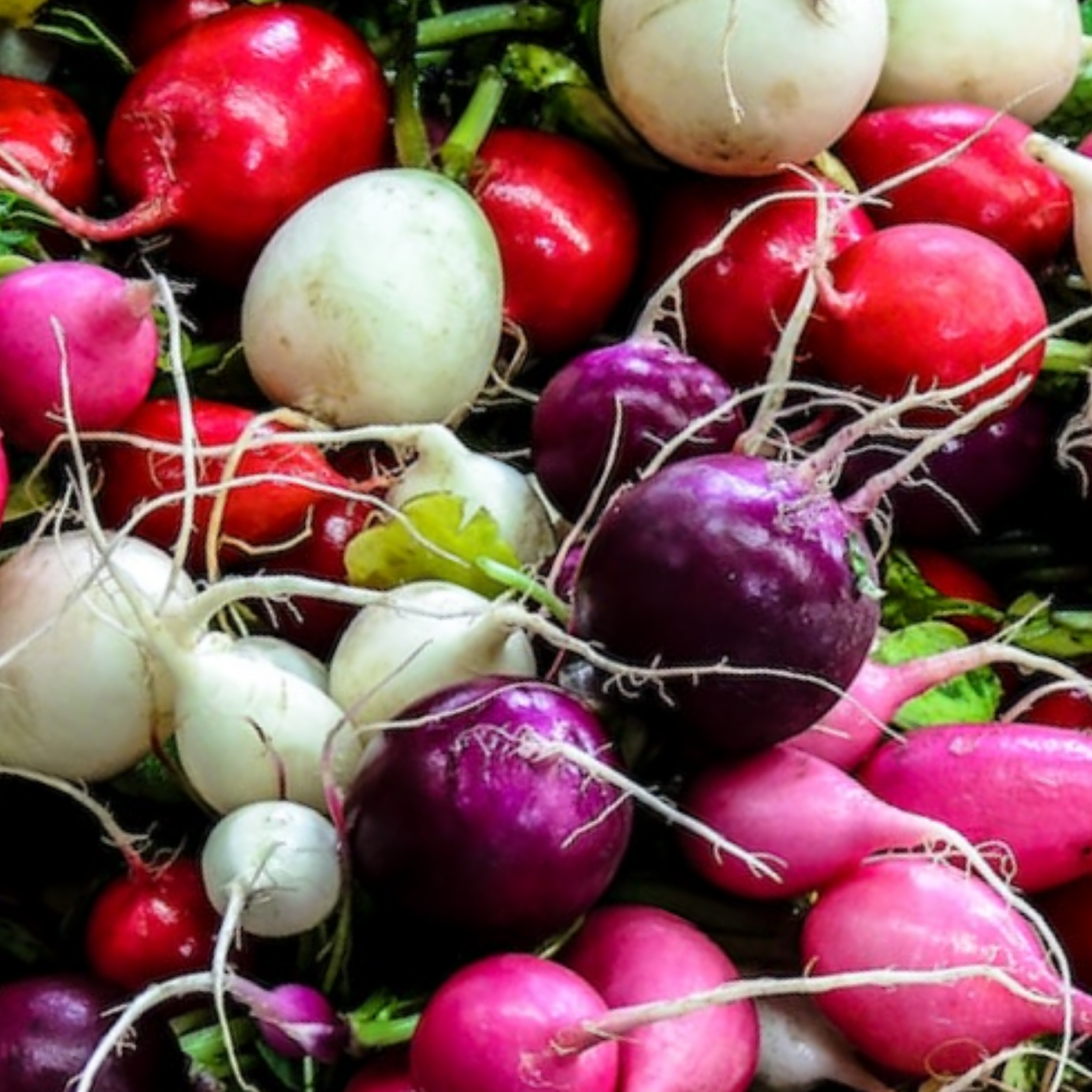 Rainbow Vegetables Collection. 5 Colourful Vegetable Varieties.