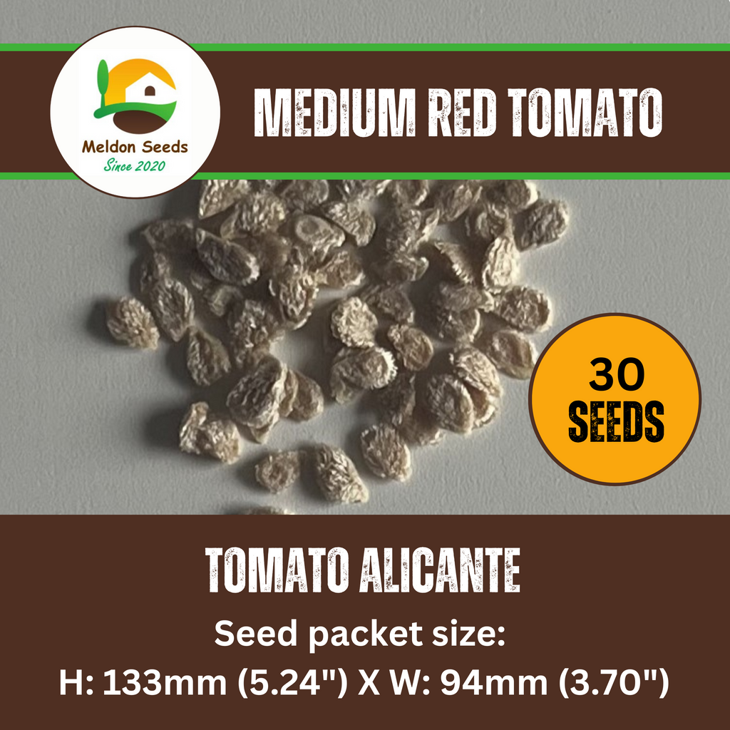 Tomato Alicante 30 Seeds
