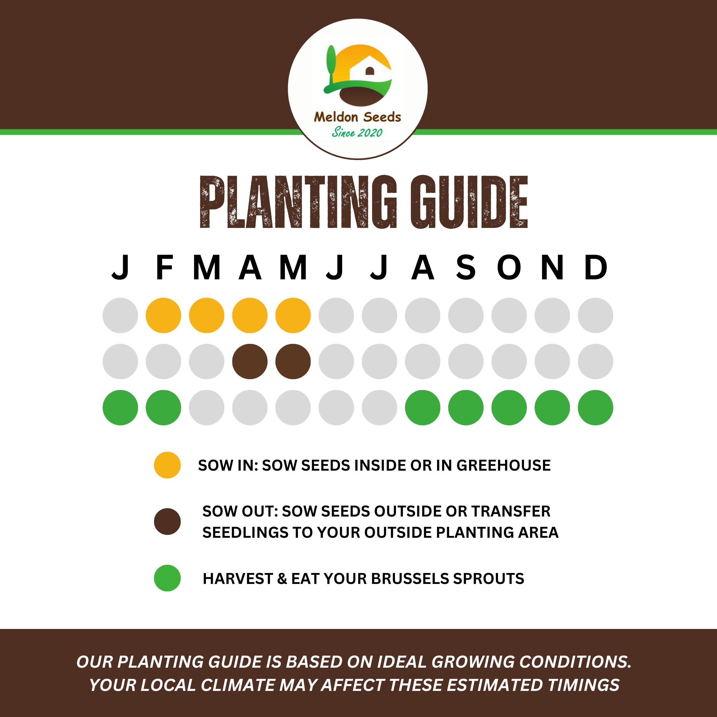 Winter Hardy Vegetable Collection. 6 Easy to Grow Hardy Vegetable Varieties