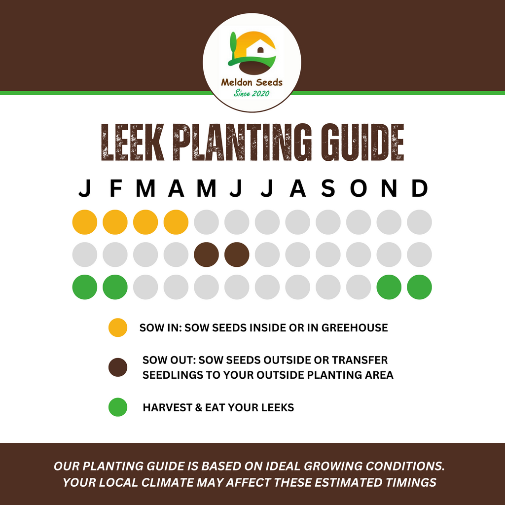 Winter Hardy Vegetable Collection. 6 Easy to Grow Hardy Vegetable Varieties