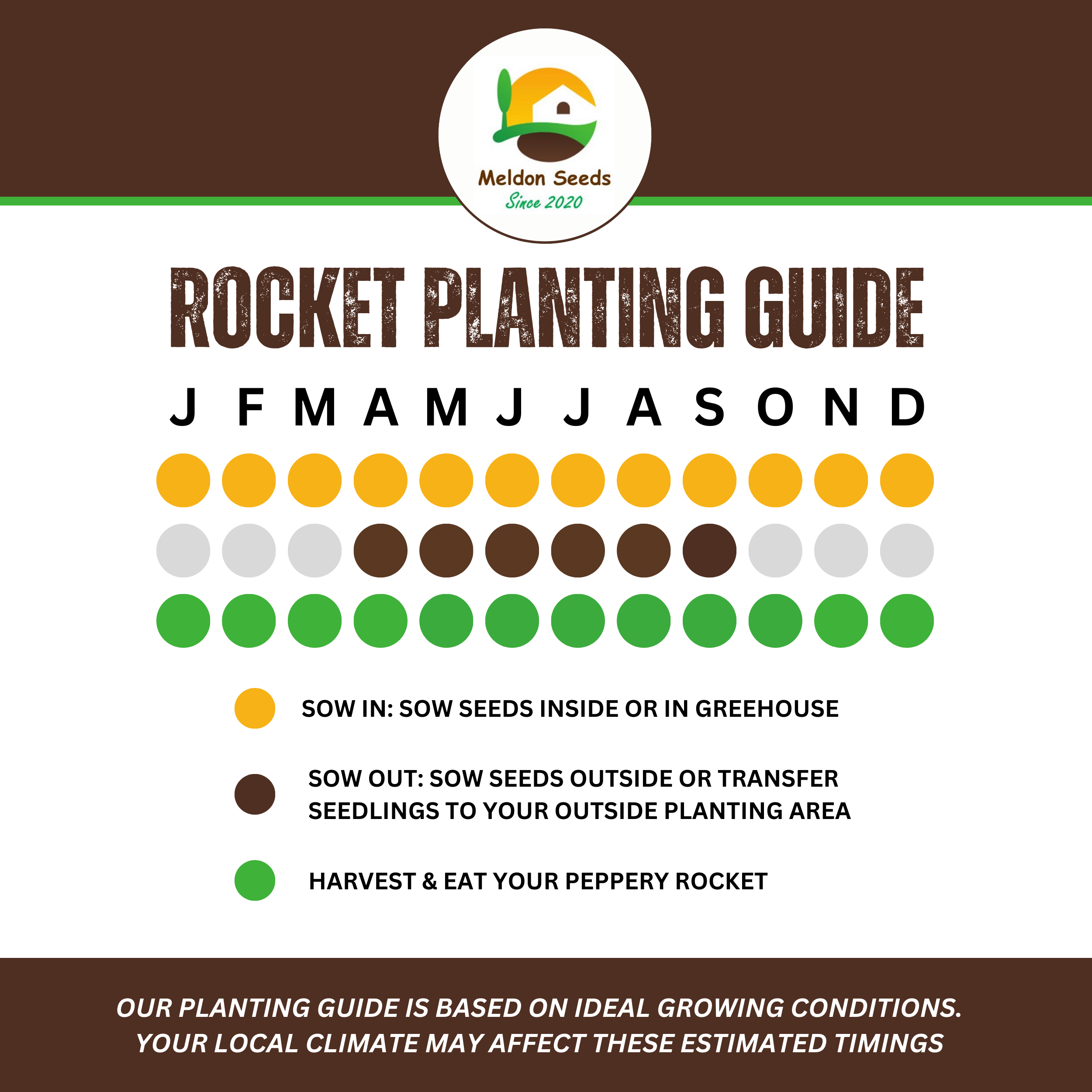 Summer Salad Vegetable Collection. 6 Easy to Grow Vegetable Varieties