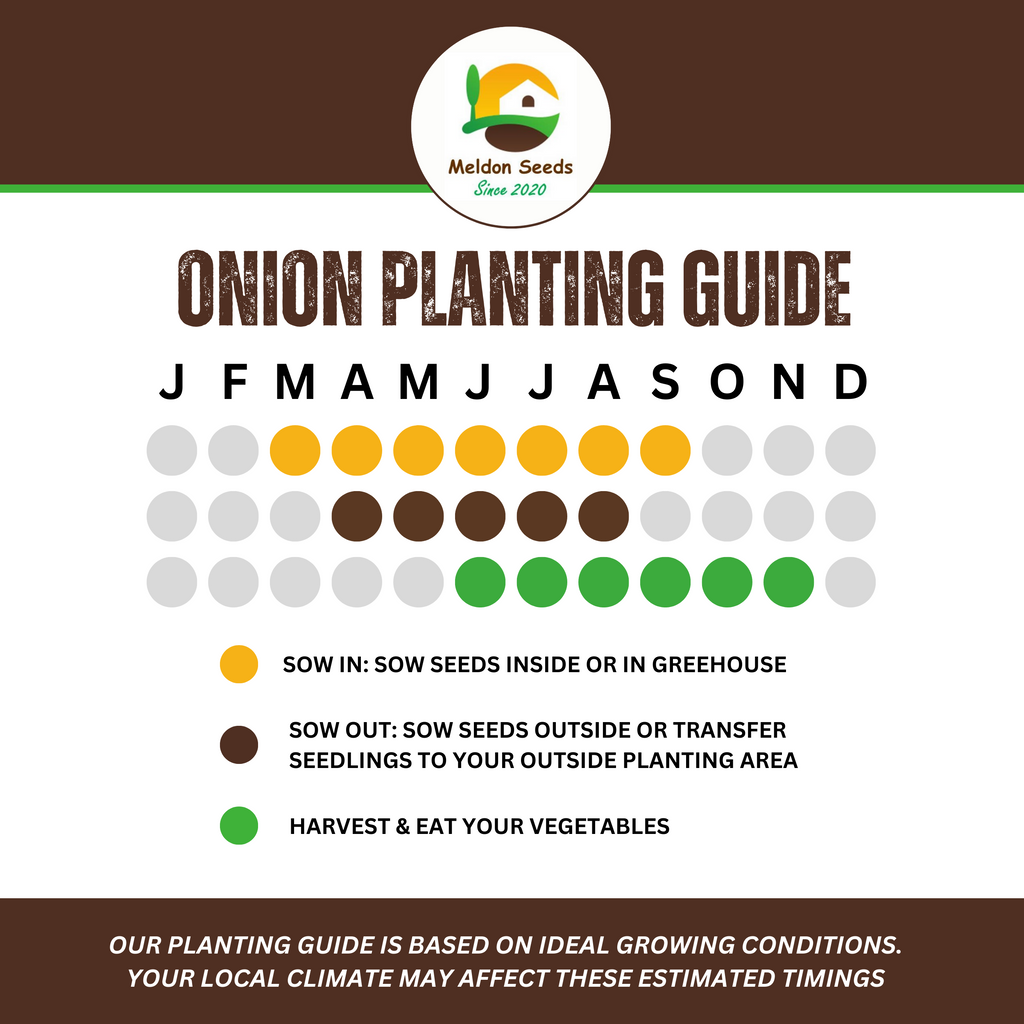 Summer Salad Vegetable Collection. 6 Easy to Grow Vegetable Varieties