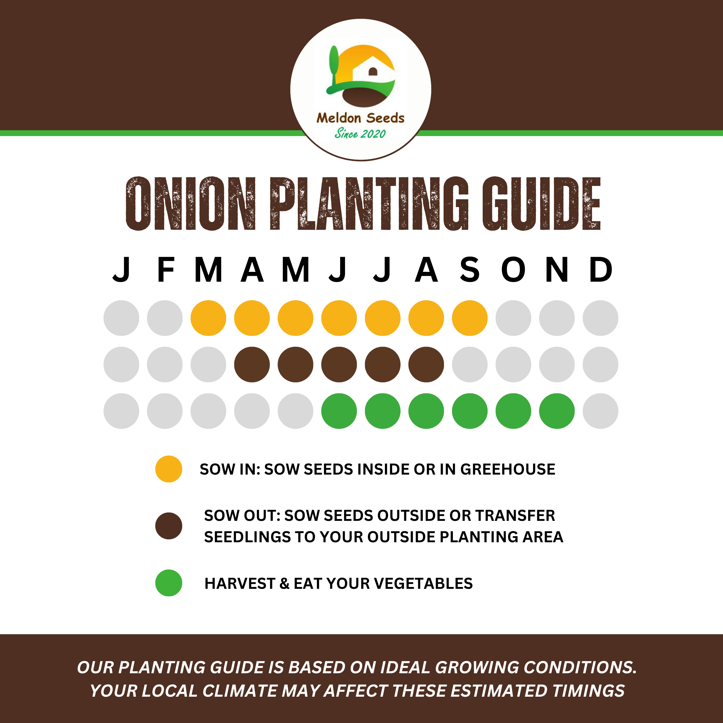 Summer Salad Vegetable Collection. 6 Easy to Grow Vegetable Varieties