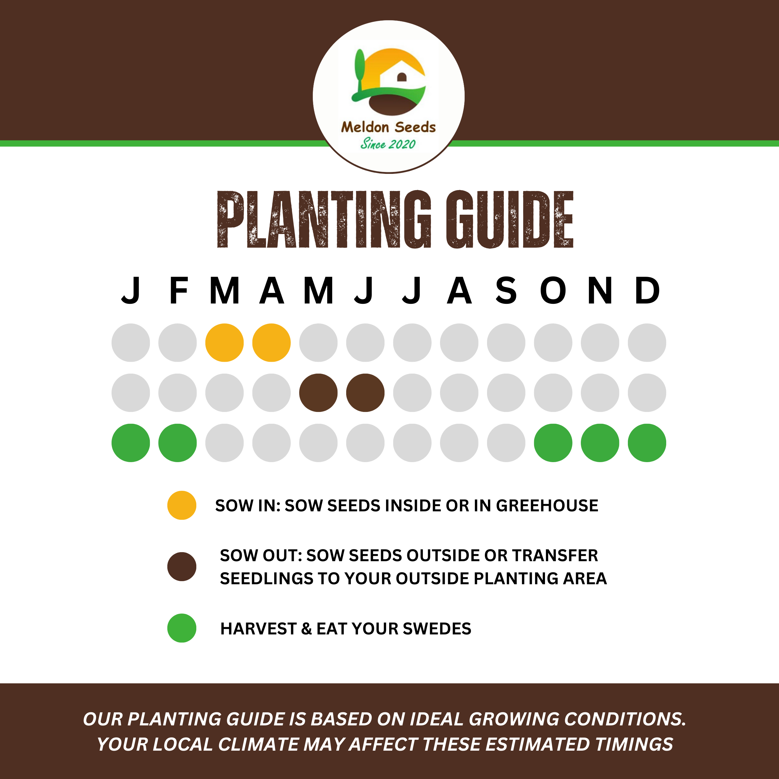 Winter Hardy Vegetable Collection. 6 Easy to Grow Hardy Vegetable Varieties