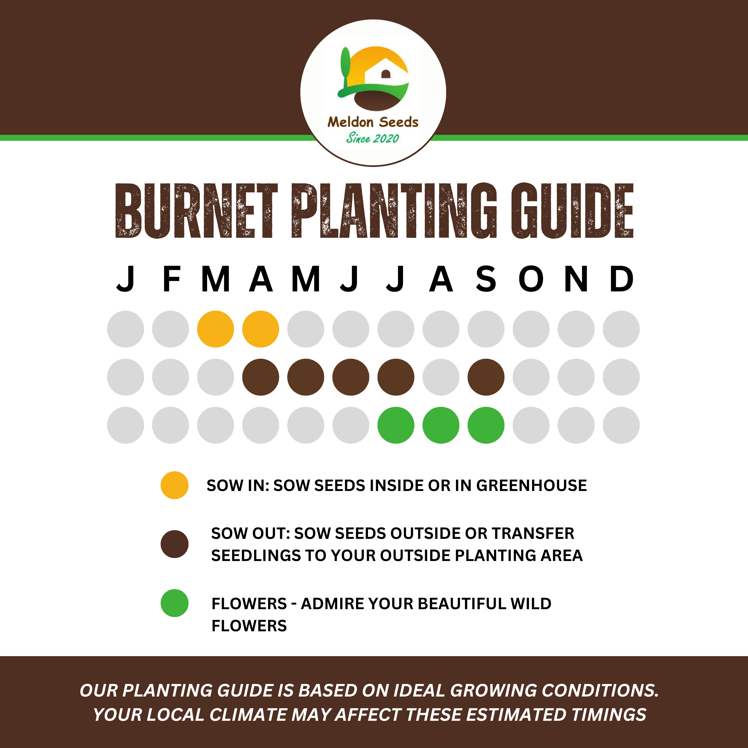 Wildlife Attracting Collection. 5 Native Wild Flower Varieties