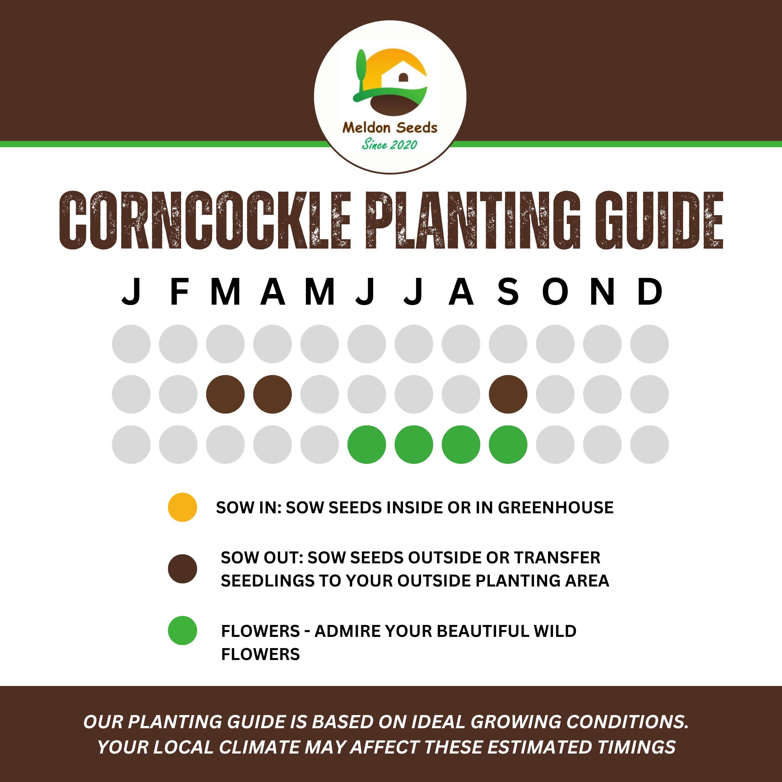 Wildlife Attracting Collection. 5 Native Wild Flower Varieties