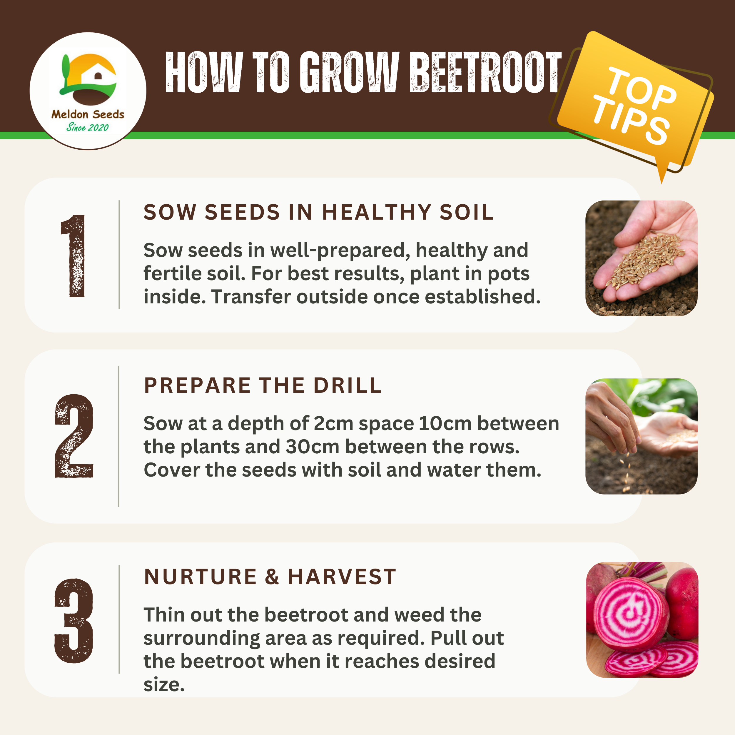 Rainbow Vegetables Collection. 5 Colourful Vegetable Varieties.