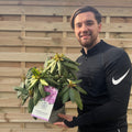Rhododendron Roseum Elegans 2-5L