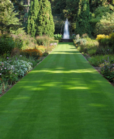 Lawn Shade Turf *Bulk Buy Saver* FREE Delivery
