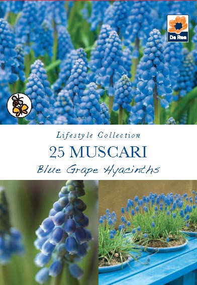 Fragrant/Scented Bulb Mix (40+ Bulbs)