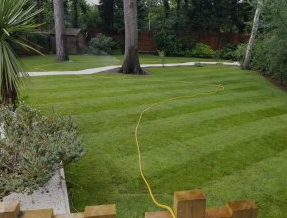 Premier Lawn Turf *Bulk Buy Saver* FREE Delivery