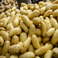 Charlotte Seed Potatoes 2KG