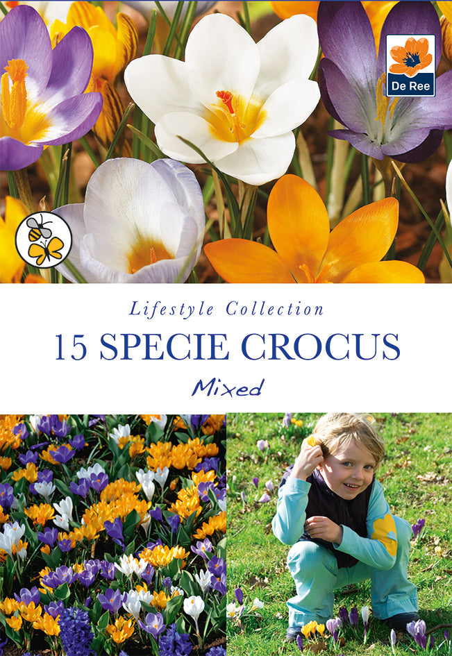 Specie Crocus Mixed (15 Bulbs)