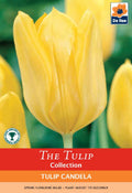 Tulip 'Candela' (4 Bulbs)