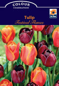 Tulip Festival Flames (5 Bulbs)