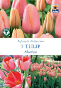 Tulip 'Menton' (5 Bulbs)