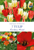 Tulip Dwarf Rockery Mixed Bulbs 5 Bulbs
