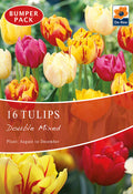 Tulip Double Mixed (12 Bulbs)