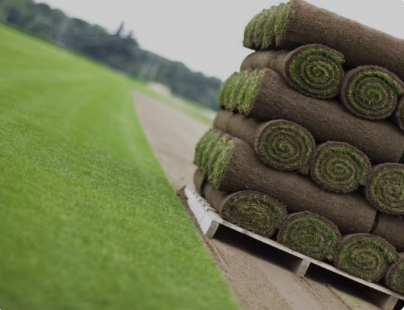 Premier Lawn Turf *Bulk Buy Saver* FREE Delivery