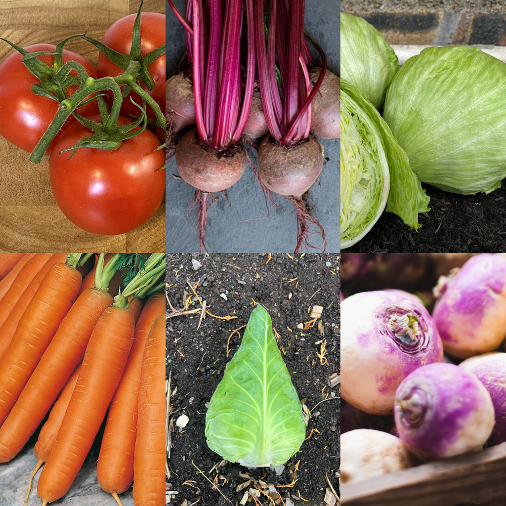 Vegetables Garden Starter Collection. 6 Easy to Grow Vegetable Varieties