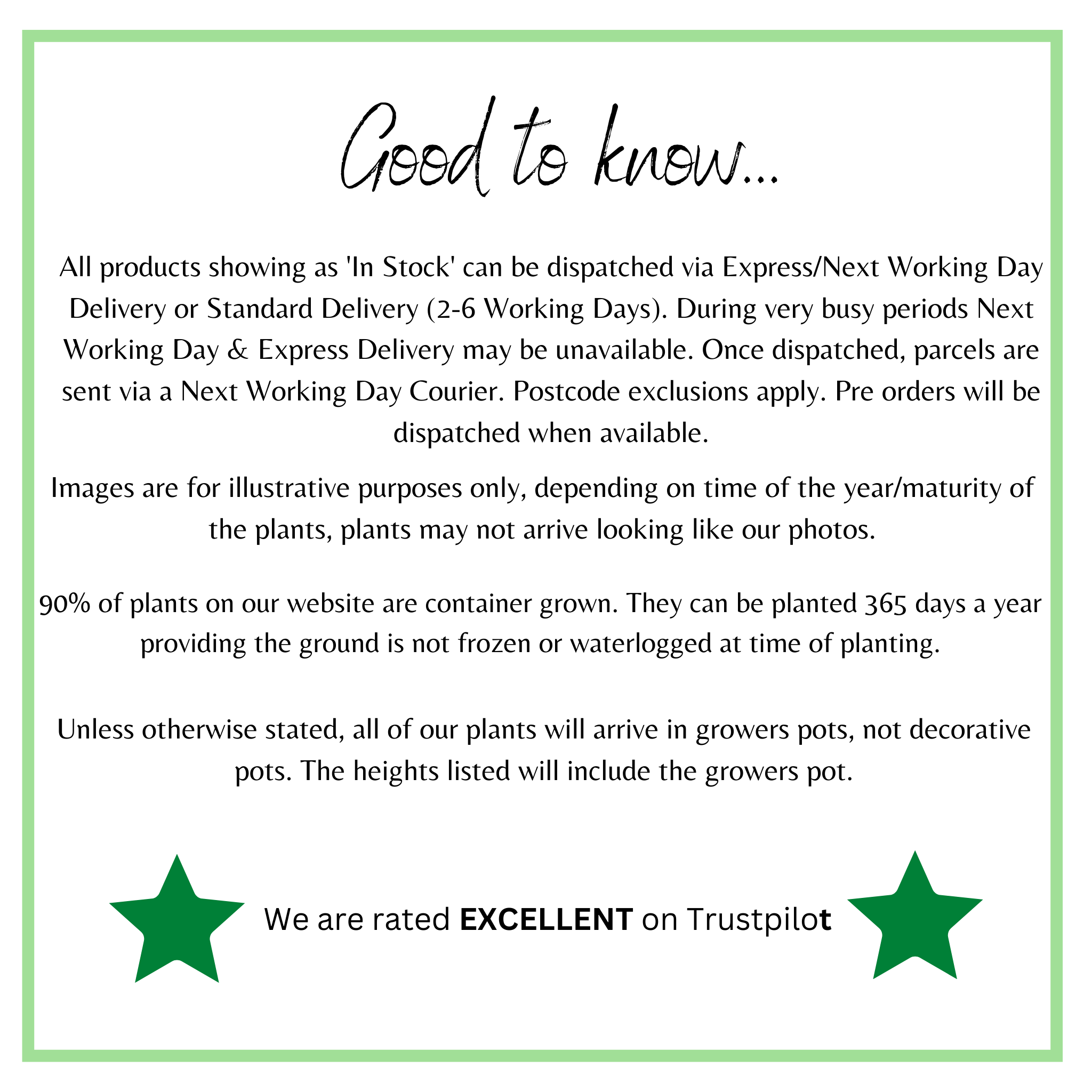 3 x Trailing Fuchsias (3 x 9cm Pots)