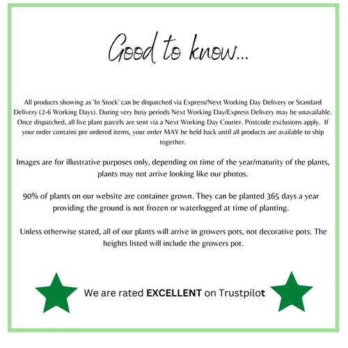 2 x Carex Grasses 8cm