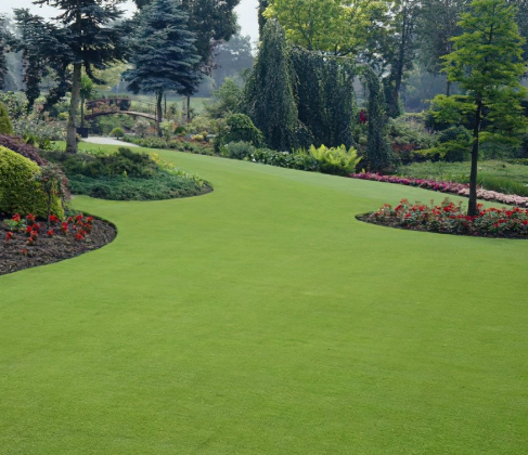 Deluxe Turf *Bulk Buy Saver* FREE Delivery