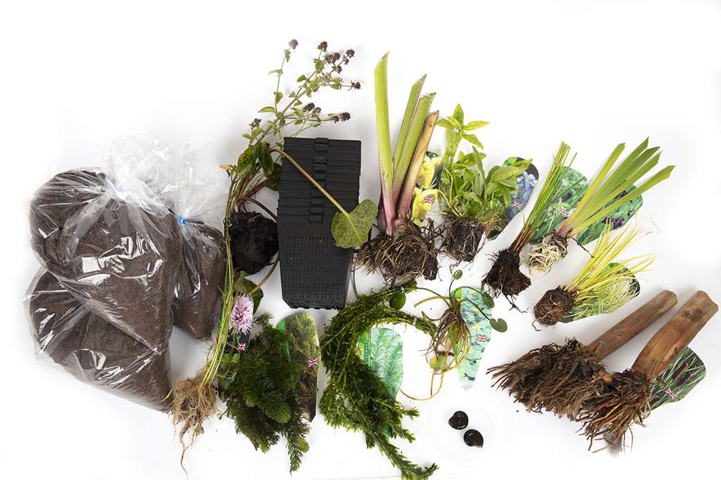 Pond Starter Packs - Pond topup Packs - Oxygenating - Compost and Pots Potted
