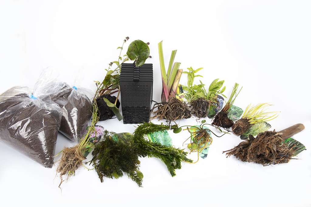 Pond Starter & top up Packs - Oxygenating - Compost and Pots