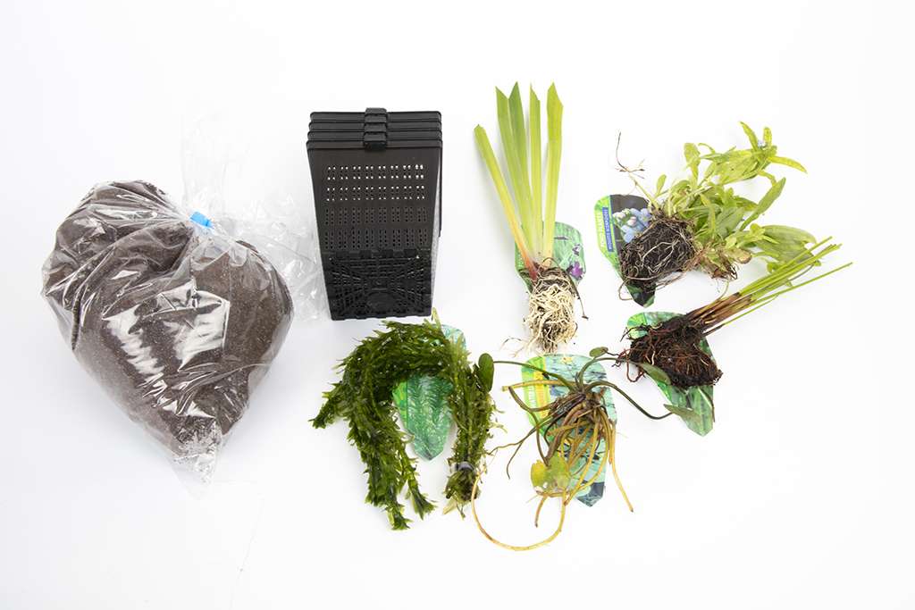 Pond Starter Packs - Pond topup Packs - Oxygenating - Compost and Pots Potted
